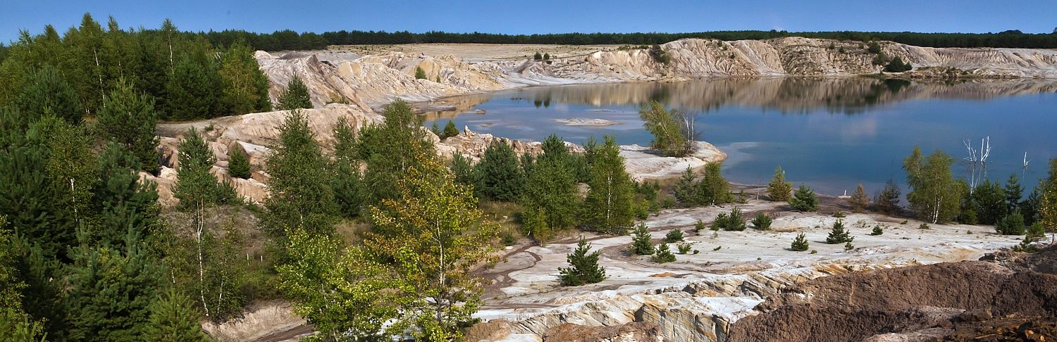 Stiebsdorfer See © Ralf Donat Blick über einen See. In der Wasseroberfläche spiegelt sich der blaue Himmel. Die Seeufer sind meist steil und zerfurcht. Auf dem hellen Sand wachsen einzelne Kiefern und Birken.